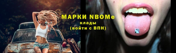 винт Алзамай