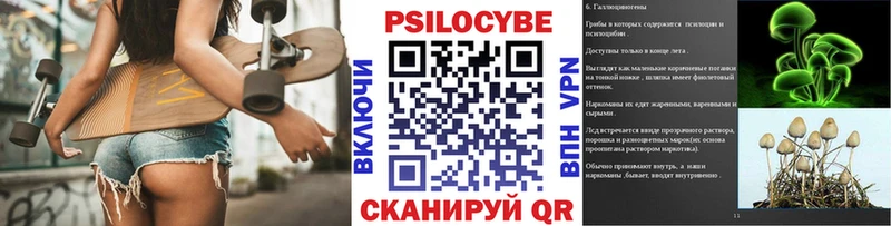 Псилоцибиновые грибы Psilocybine cubensis Крымск